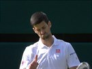 Novak Djokovi koní na Wimbledonu (2. ervence 2016)