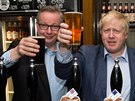Michael Gove a Boris Johnson bhem kampan za brexit srovnávali europivo s...