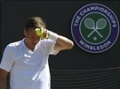 Tomá Berdych ve tvrtfinále Wimbledonu