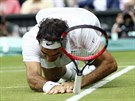 Roger Federer padl, v semifinále Wimbledonu ho pehrál Milos Raonic.