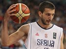 Srbský basketbalista Stefan Birevi v duelu s eským výbrem.