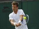 Tomá Berdych bojuje ve druhém kole Wimbledonu proti nmeckému tenistovi...