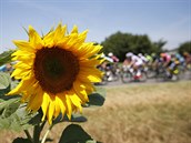 Momentka ze sedm etapy Tour de France