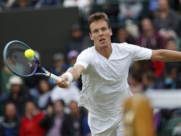 Tom Berdych si b pro m, kter mu v osmifinle Wimbledonu poslal Ji...