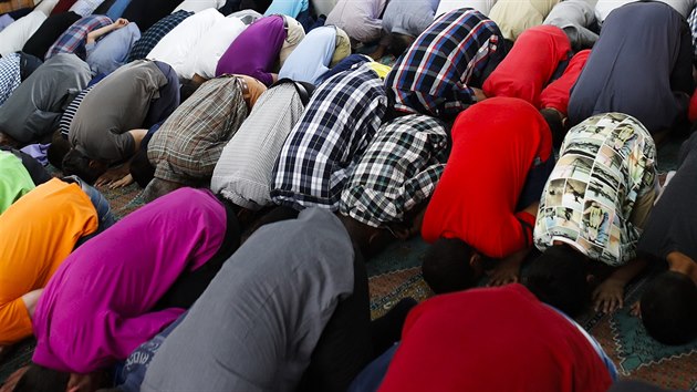 Muslimové při modlitbě v mešitě v imigrantské čtvrti Neukölln v Berlíně. (5. 7. 2016)