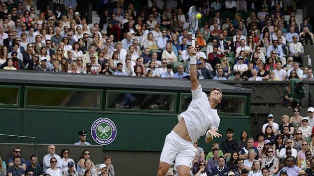 Tom Berdych ve Wimbledonu