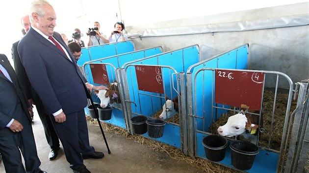 Páteční dopoledne strávil prezident Miloš Zeman mezi zemědělci v Nové Vsi u Nového Města na Moravě.