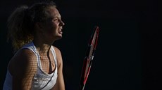 Kate�ina Siniaková ve Wimbledonu