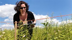 Vypadá to jako práce sn�, ale ka�dý den na poli a sná�et vedra, to není jen tak.