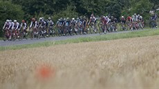 Cyklistický peloton ve 4. etap Tour de France.