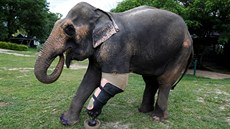 Hrani�ní území mezi Thajskem a Barmou je stále poseto ná�lapnými minami, které...