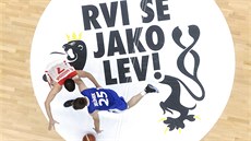 �eský basketbalista David Jelínek v p�ípravném utkání s Tuniskem.