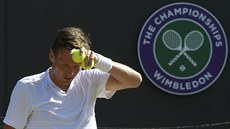 Tomá Berdych ve tvrtfinále Wimbledonu