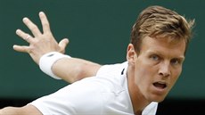 Tomá Berdych v semifinále Wimbledonu