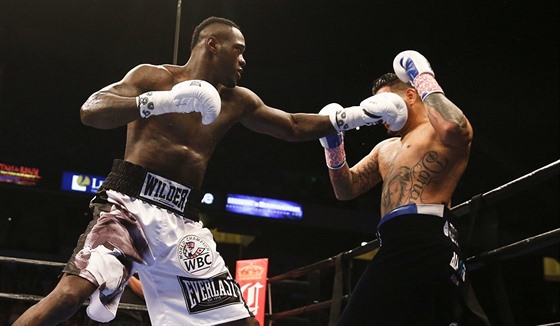 Deontay Wilder (vlevo) udeil Chrise Arreolu bhem duelu o titul mistra svta v...