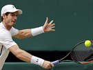 Brit Andy Murray hrál ve finále Wimbledonu proti Milosi Raonicovi.