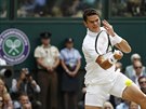 Tenista Milos Raonic ve finále Wimbledonu proti domácímu Andymu Murraymu.