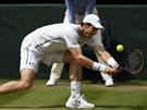 Andy Murray bhem finálového zápasu grandslamového turnaje ve Wimbledonu proti...