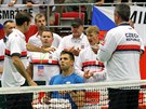 Tenista Radek tpánek utuje Jiího Veselého po prohe s Jo-Wilfriedem...