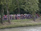 Cyklistický peloton bhem 11. etapy Tour de France.