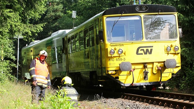Srážka vlaků u Rotavy na Sokolovsku (10. července 2016)