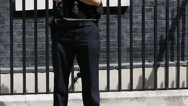 Kocour Larry ped dvemi premirskho sdla v Downing street slo 10 (13. ervenec 2016)