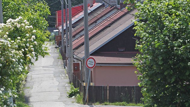 Bval hornick kolonie v Ostrav nkde chtraj, jinde se o n lid staraj.