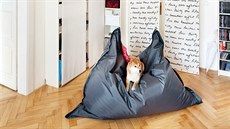Sedací vak Crazy Bag, umístný v knihovn, se stal oblíbeným místem fenky Kiry.