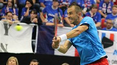 Luká Rosol bojuje ve tvrtfinále Davis Cupu proti favorizovanému Jo-Wilfriedu...