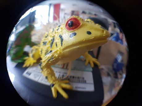 Fisheye objektiv na smartphonu Samsung Galaxy S7