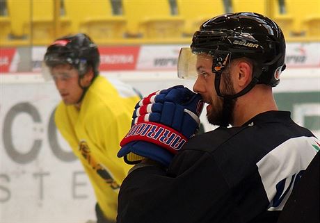 Daniel Sorvik, litvnovsk posila