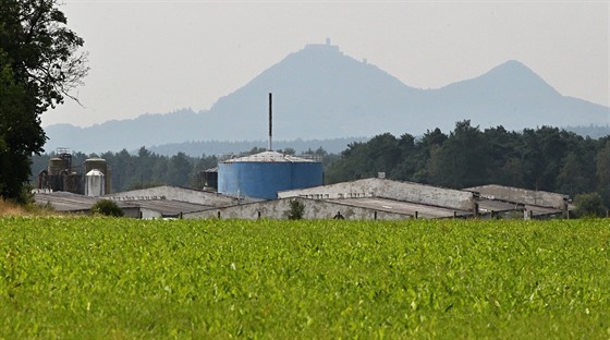 Vepín v Mimoni. 