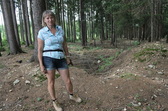 Archeoloka Martina Beková ukazuje v lese rozkopanou mohylu, kterou vykradli v...