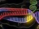 Enzym CRISPR (zelen a erven) se pipojuje k dvojit roubovici DNA (fialov...