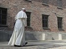 Frantiek jako tetí pape v historii navtívil vyhlazovací tábor v Osvtimi....