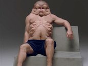 Figurína Grahama je zkontruovaná tak, jak by mohl vypadat člověk, aby bez úhony...