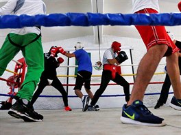 BOX. Mexití boxei se pipravují na olympijské hry v Riu.