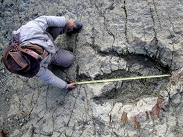 STOPA. Paleontolog Sebastian Apesteguia mí stopu dinosaura, který il ped 80...