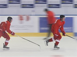 Momentka z trninku hokejist Olomouce