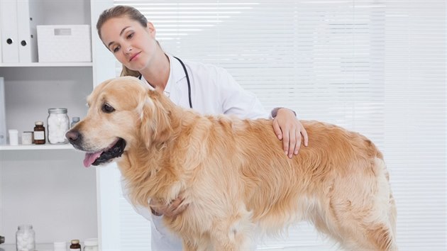 Ilustra�ní snímek