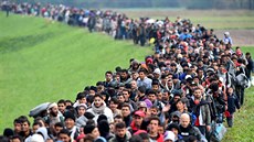 Loni v lét naplno propukla uprchlická krize, kdy do západní Evropy proudily...