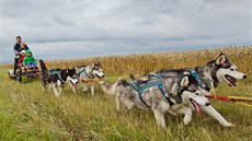 San� z�staly na dvo�e, d�tí se prohání na ká�e ta�ené sp�e�ením.