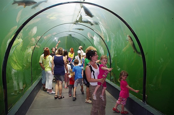 Podvodní tunel v expozici Živá voda