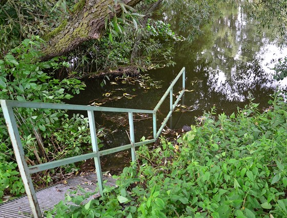 Rybník v Rosnicích na Karlovarsku.