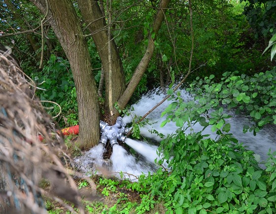 Hasii oderpávají vodu z rybníka v Rosnicích na Karlovarsku. Rybník je...