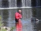 Záchranái spolu s policejními potápi pátrali pod splavem na Dyji po tle...