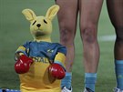 AUSTRALSKÝ MASKOT. lutý plyový klokan s ervenými boxerskými rukavicemi...