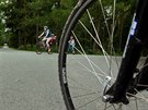 Uprost�ed hradeck�ch les� je k�i�ovatka U Dvou �ra�k�. Cyklist� z kopce tam...