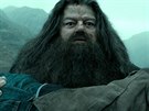 Robbie Coltrane ve filmu Harry Potter a Relikvie smrti - ást 2 (2011)