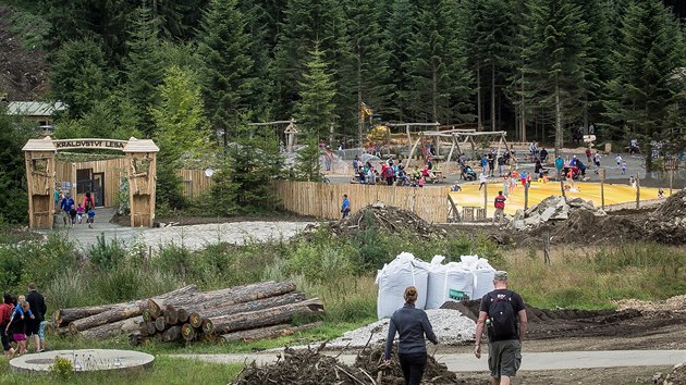 Krlovstv lesa nedaleko Stezky korunami strom na Lipn.